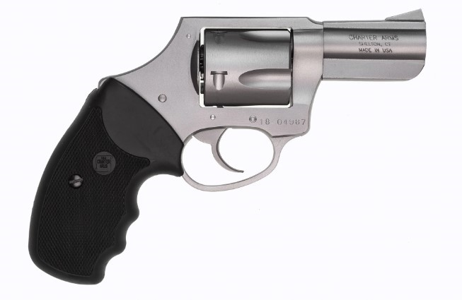 CHARTER ARMS BULLDOG .44 SPL. LARGE 5 SHOT 2.5IN FIXED DAO STAINLESS STEEL 74421 - 556 Black Friday Promotion